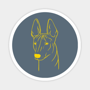 Xoloitzcuintli (Blue-Gray and Yellow) Magnet